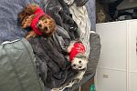 Sale Photo Thumbnail #20