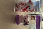 Sale Photo Thumbnail #6