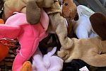 Sale Photo Thumbnail #16