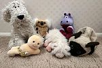 Sale Photo Thumbnail #13