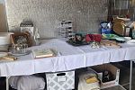Sale Photo Thumbnail #11