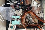 Sale Photo Thumbnail #11