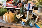 Sale Photo Thumbnail #5