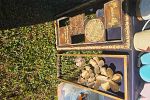 Sale Photo Thumbnail #6