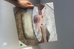 Sale Photo Thumbnail #34