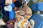 Sale Photo Thumbnail #15