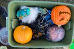 Sale Photo Thumbnail #14