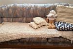 Sale Photo Thumbnail #6