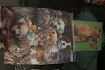 Sale Photo Thumbnail #35