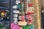 Sale Photo Thumbnail #12