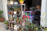 Sale Photo Thumbnail #5