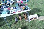 Sale Photo Thumbnail #6