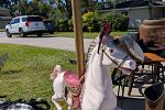 Sale Photo Thumbnail #15