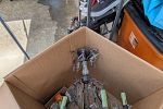 Sale Photo Thumbnail #25