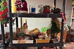Sale Photo Thumbnail #23