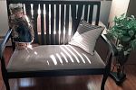 Sale Photo Thumbnail #2