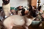 Sale Photo Thumbnail #22