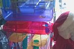 Sale Photo Thumbnail #5