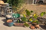 Sale Photo Thumbnail #10
