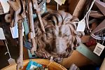 Sale Photo Thumbnail #31