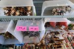 Sale Photo Thumbnail #36