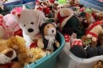 Sale Photo Thumbnail #21