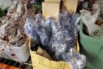 Sale Photo Thumbnail #26