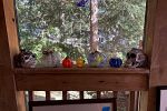 Sale Photo Thumbnail #23
