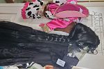 Sale Photo Thumbnail #5