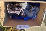 Sale Photo Thumbnail #50