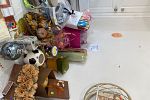 Sale Photo Thumbnail #15