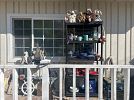 Interior design items and furniture — photo 2