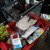 Many collectibles, household items — photo 1