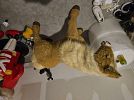 Garage sale 5/15, 5/16 - electronics, games, decorations — photo 5