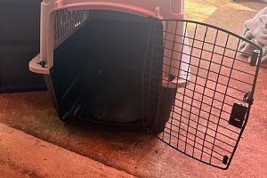 Garage Sale with lots of great bargains