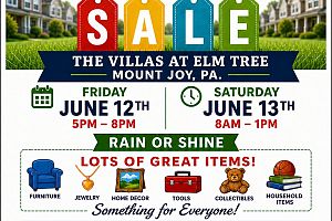 15th Annual Villas at Elm Tree Neighborhood Yard Sale