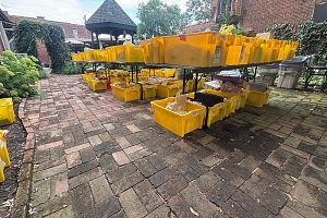 80 Tubs Filled-40 Years Of Collectables-Household- Animal-Christmas Items