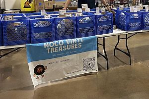 Vinyl Record Garagle Sale