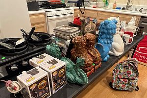 ESTATE SALE in MACDONALD RANCH