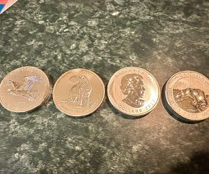 Sale Gallery Photo Thumbnail