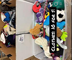 Sale Gallery Photo Thumbnail