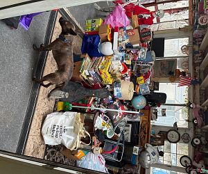 Sale Gallery Photo Thumbnail