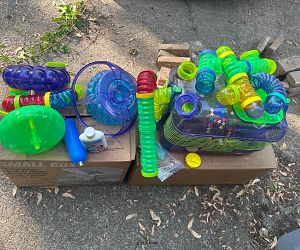 Sale Gallery Photo Thumbnail