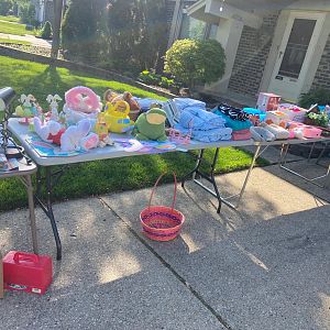 Yard sale photo in Canton, MI
