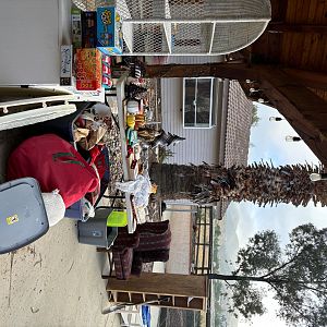 Yard sale photo in Acton, CA