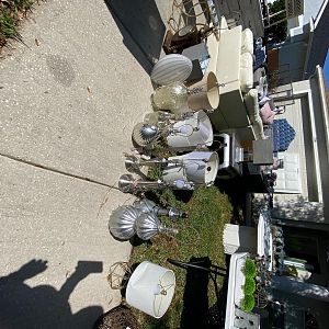 Yard sale photo in Dade City, FL