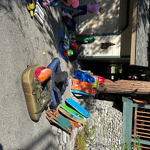Yard sale photo in Forest Falls, CA