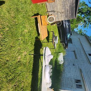 Yard sale photo in East Berne, NY