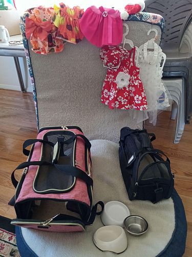 Madison Heights Citywide Garage Sale photo