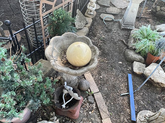 Outdoor Garden and Collectibles Sale photo